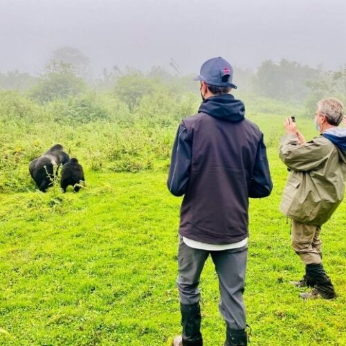 3-Day Rwanda Gorilla Trekking & Golden Monkey Adventure