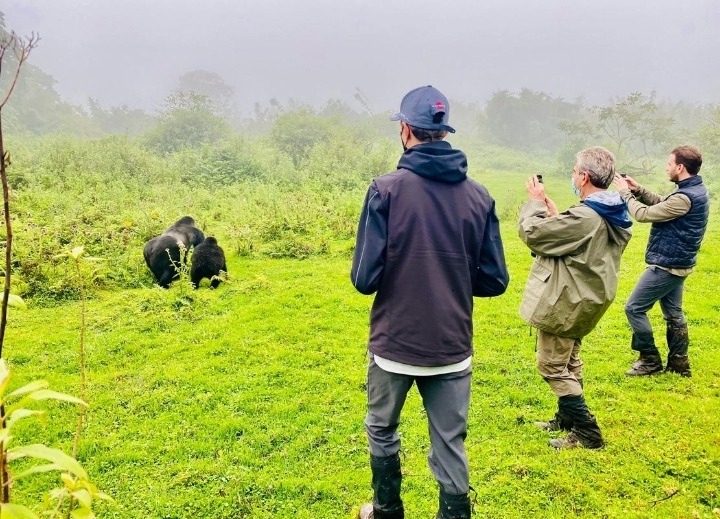 3-Day Rwanda Gorilla Trekking & Golden Monkey Adventure